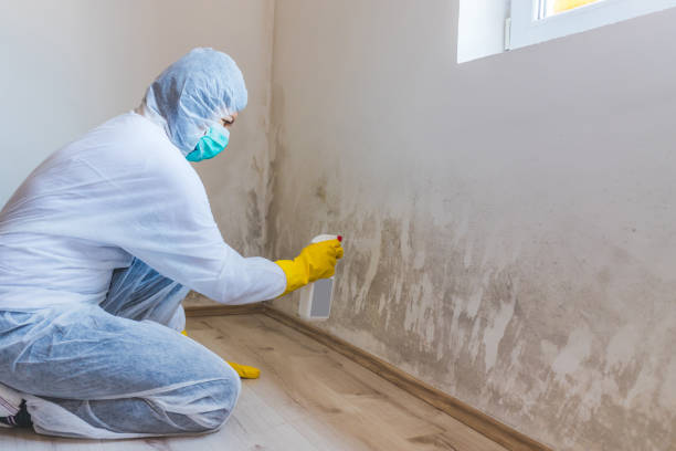 Mold Remediation specialist working in Westville